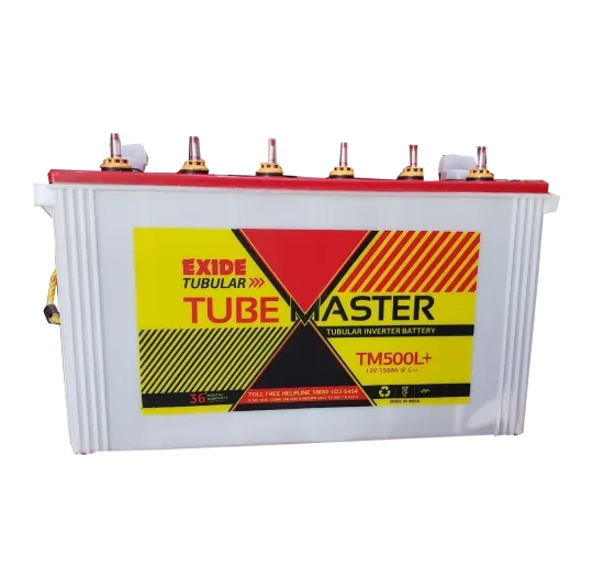 Exide Tubemaster tubular inverter battery