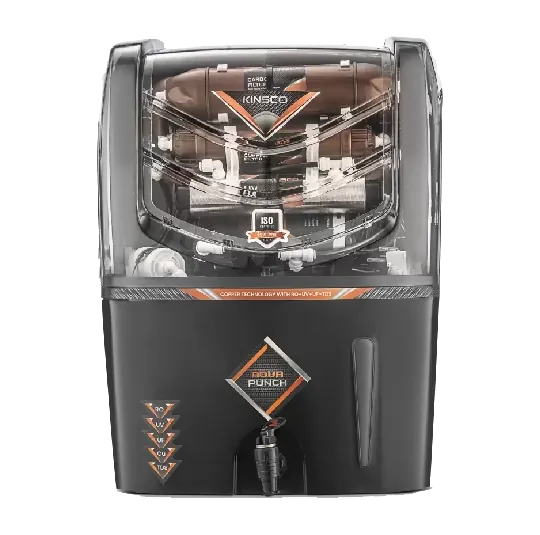 Kinsco Aqua Punch water purifier